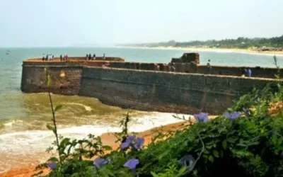 goa (10)
