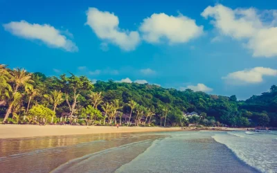 goa (3)